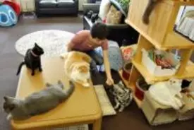 猫カフェを1人で貸し切ってみた