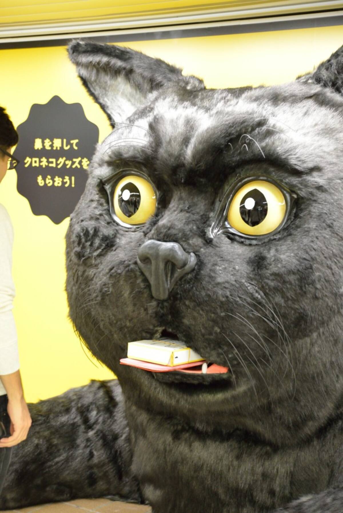新宿駅にリアルすぎて怖い 巨大クロネコ 出現 真顔で舌をヌルっと出す姿が完全に化け猫 エキサイトニュース