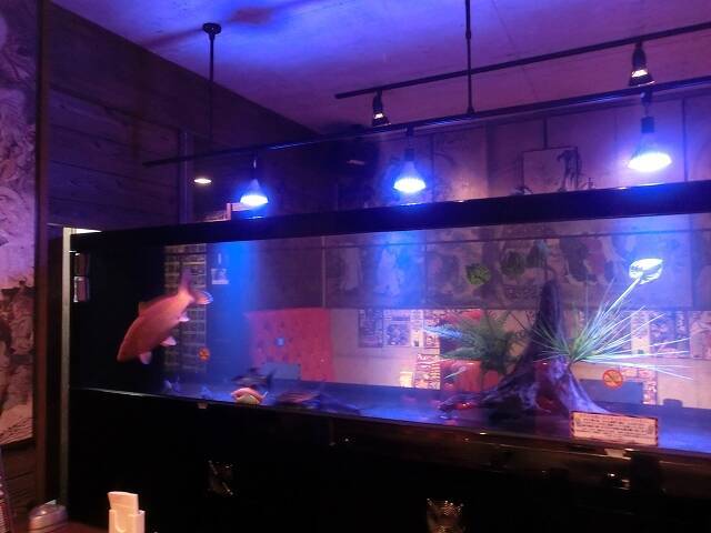 個性的すぎるお好み焼店「ASOKO」（あそこ） 仏像の壁画、真っ赤なシート、水槽には錦鯉