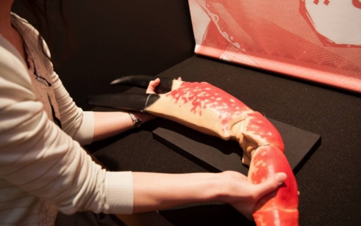 最強生物決戦展 に行ってきた サンシャイン水族館とテラフォーマーズがコラボ エキサイトニュース