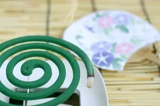 2014年に流行した「デング熱」、今どうなってる？