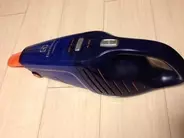 掃除機で吸い込んでしまったクモはどうなるのか？