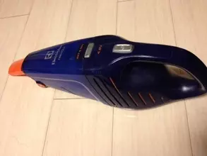 掃除機で吸い込んでしまったクモはどうなるのか？