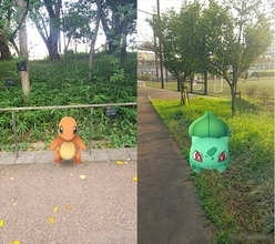 【ポケモンGO攻略】ヒトカゲとフシギダネが頻出する「赤羽自然観察公園」周辺がアツい