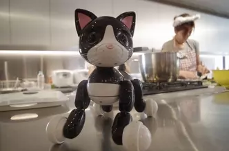 仔犬型ロボット、ネコ型ロボットが出迎えてくれるペットカフェへ行ってきた