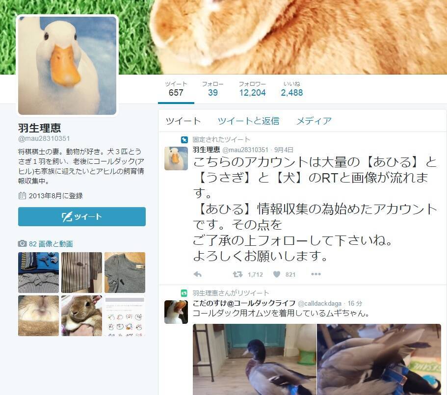 羽生善治の妻・理恵さんがTwitter開始「ズバリ、あひる情報収集の為」