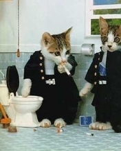 あなたはどっち？　マイルドヤンキーor意識高い系診断！