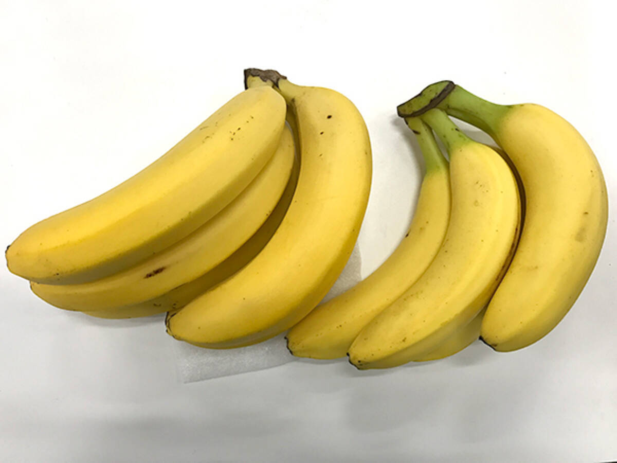 バナナの値段が変わる大きな理由は標高の差だった エキサイトニュース