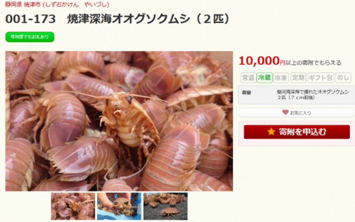 生きたオオグソクムシがクール便で届く ふるさと納税の返礼品が凄い焼津市 エキサイトニュース