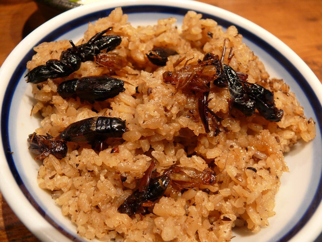 有吉も絶賛したコオロギラーメンに大行列 170食完売の衝撃 昆虫写真あり エキサイトニュース 2 3