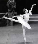 バレエダンサーはなぜ太った人がいないのか？