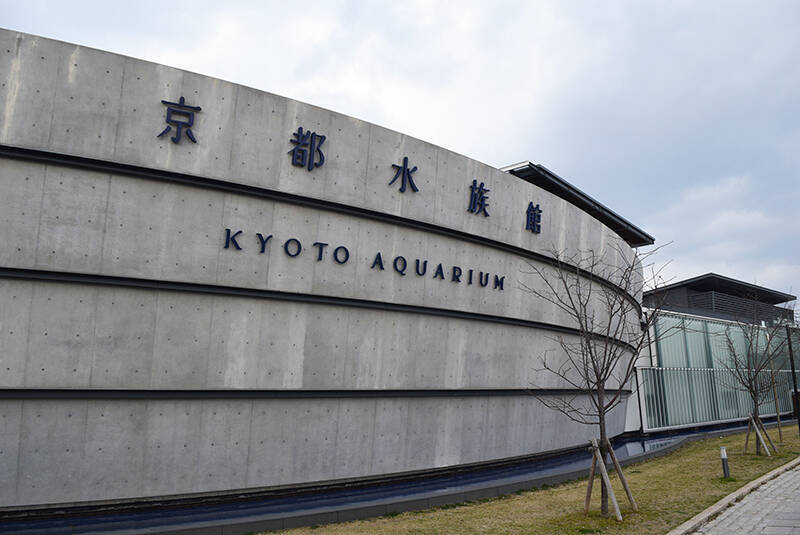 チンアナゴやペンギン追加！　京都水族館名物「すいぞくパン」がリニューアル