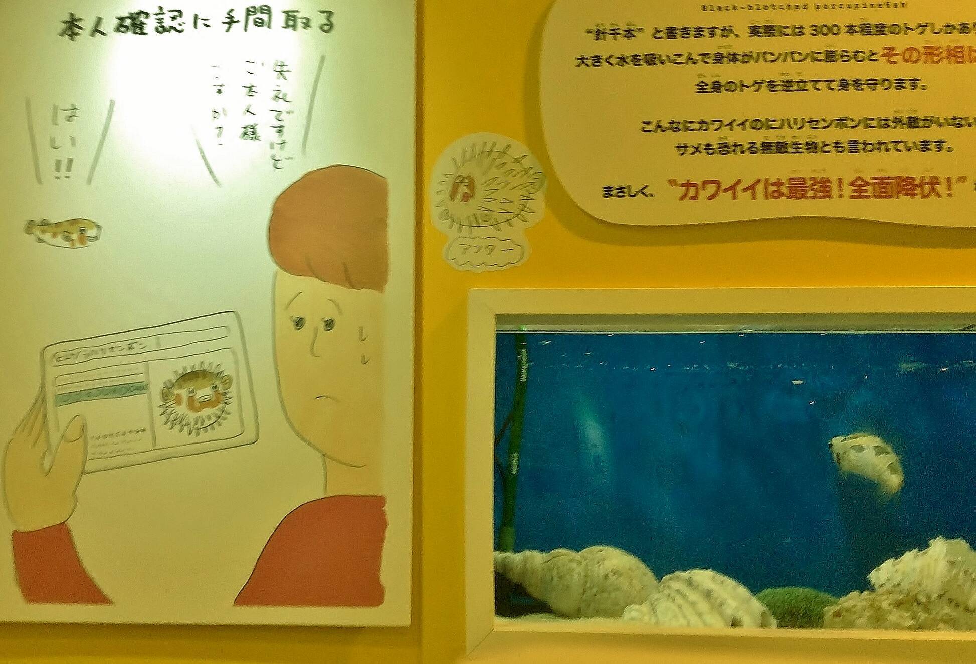 しながわ水族館の ゆる展リターンズ がしっかりゆるかった件 エキサイトニュース