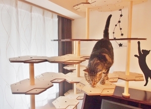 猫好き＆理系脳のハートをわしづかみ！ 1000万通り以上に変形するキャットタワー