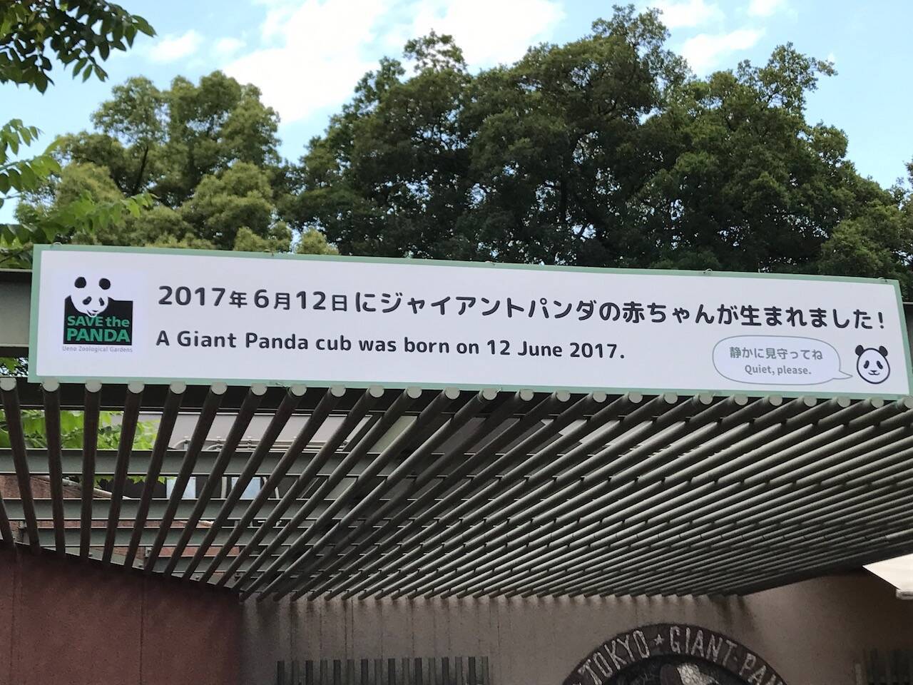 上野動物園の赤ちゃんパンダ、名前が決まるまで何と呼ばれてるの？