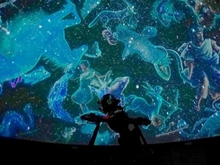 お寺の中の異空間　プラネタリウム併設でライオンや恐竜までいる「證願寺」