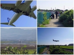 空飛ぶ飛行機、下から見るか？　「頭上スレスレ」味わえる河川敷