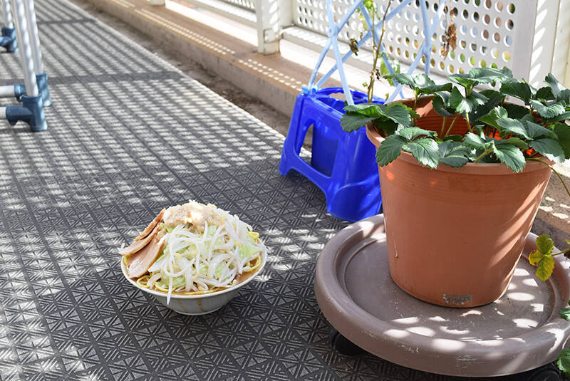 リアル過ぎる二郎系ラーメンの食品サンプル 要望次第でチャーシューの厚みの変更も