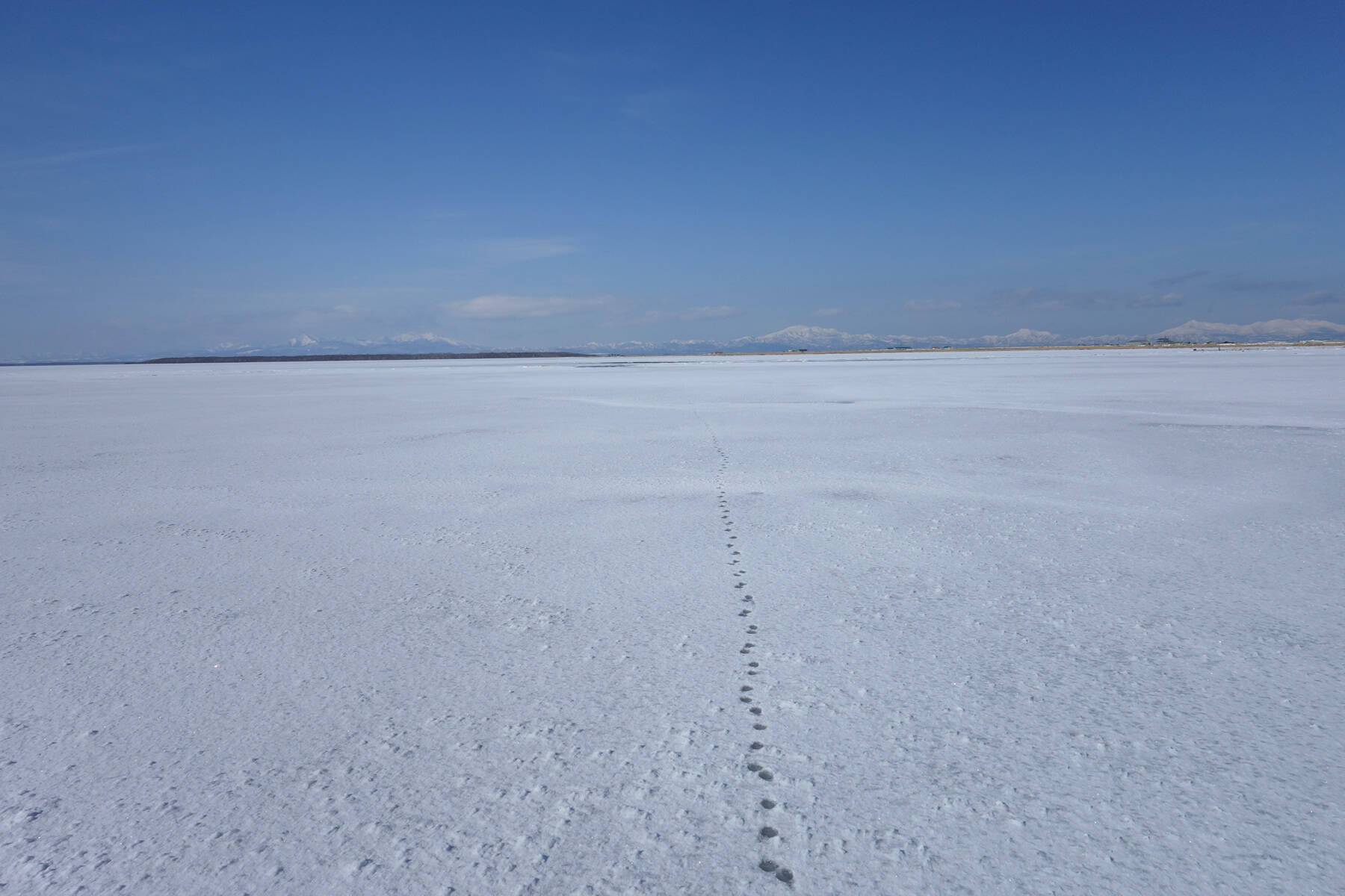 冬の絶景 凍った海の上を歩ける日本のウユニ塩湖 野付湾 エキサイトニュース 2 2