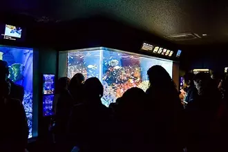 水族館の水槽掃除ってどうやるの？サンシャイン水族館「水槽ピカピカ大作戦！」に密着してみた