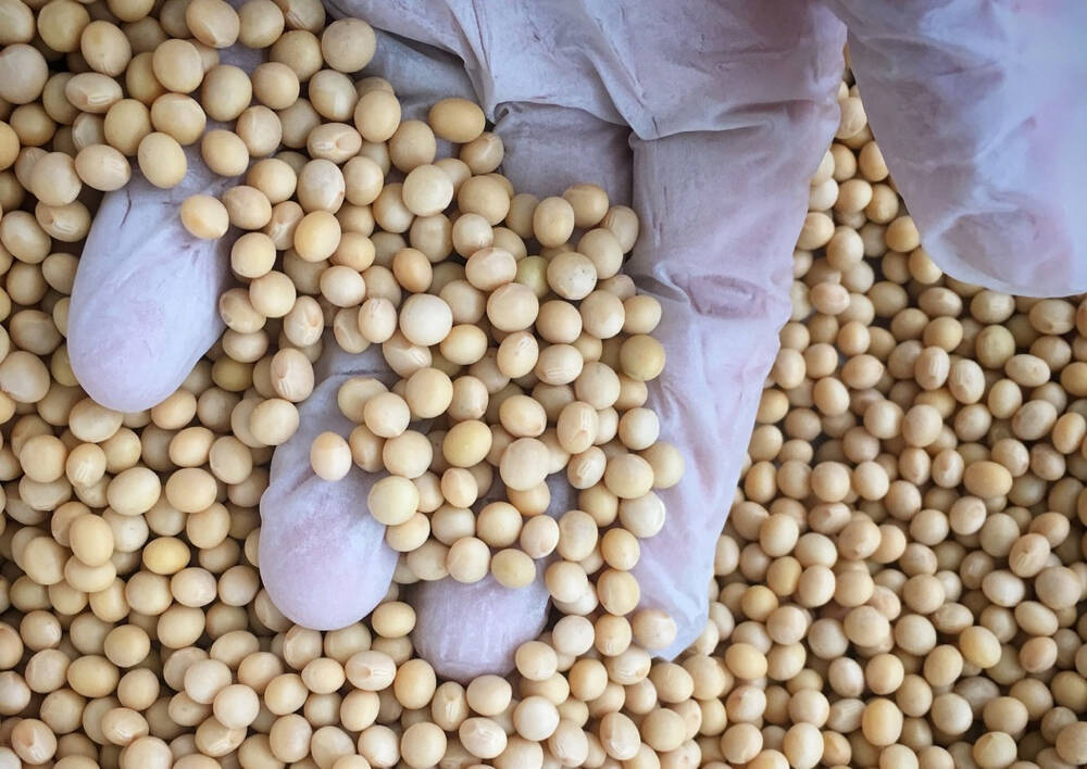 ニューヨークに納豆を製造する会社がある「米国の食事には納豆が合う」