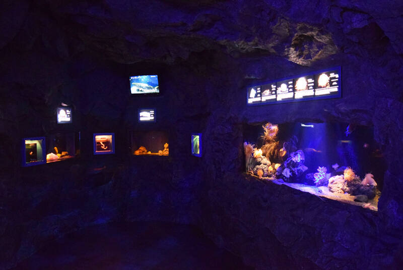 不思議な深海生物だらけの沼津港深海水族館、実はグッズも変で面白い