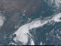 台風の名前はどうやって決める？気象庁に「ヤギ」「トカゲ」の由来を聞く