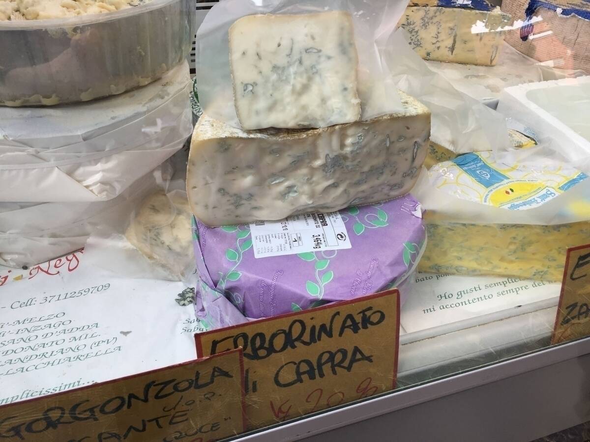 ゴルゴンゾーラ発祥の地「ゴルゴンゾーラ」でチーズを堪能してきた