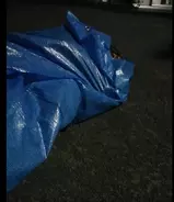 自衛隊さん本当に眠れる？ブルーシート寝袋を夜の公園で試してみた