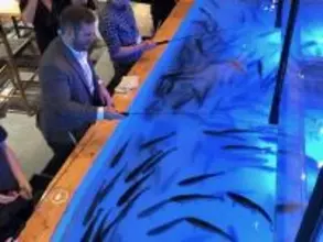 魚釣りができるレストラン「ざうお」が米進出 姿盛りに驚く客も