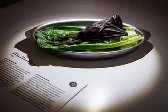 スウェーデンで「不快な食べ物博物館」が開館 うじ虫チーズや羊の目玉など展示