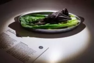 スウェーデンで「不快な食べ物博物館」が開館 うじ虫チーズや羊の目玉など展示