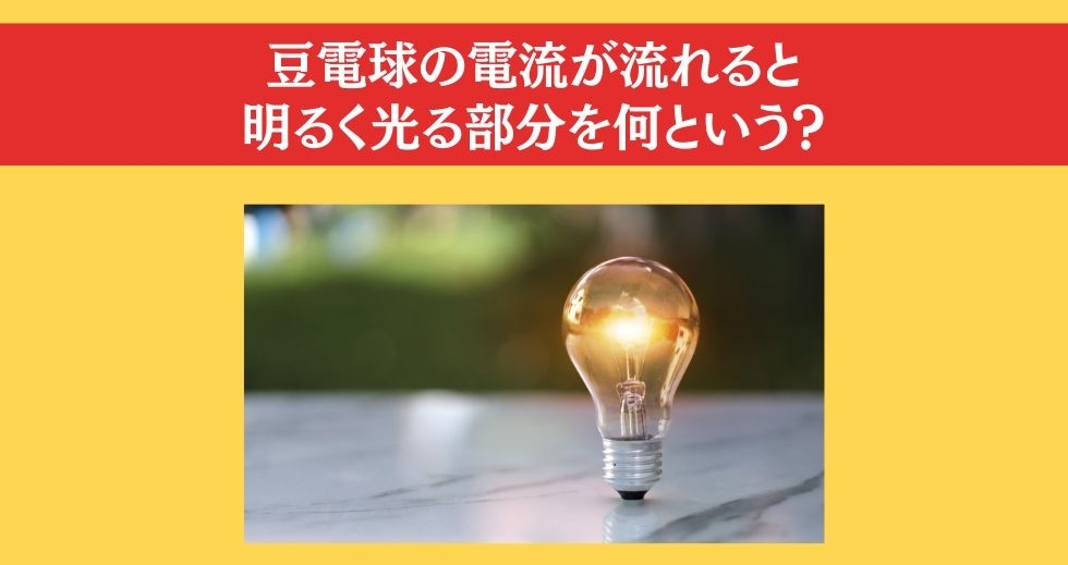 大人ならわかる？ 小学校の「理科」問題＜Vol.42＞