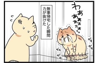 【漫画】無事生還！帰宅した瞬間、力が抜けて号泣【カルト宗教に軟禁された話 Vol.56】