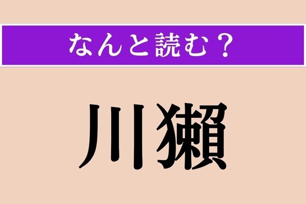 【難読漢字】「川獺」正しい読み方は？ 生きてます