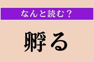【難読漢字】「孵る」正しい読み方は？「孵化」の「孵」なので…