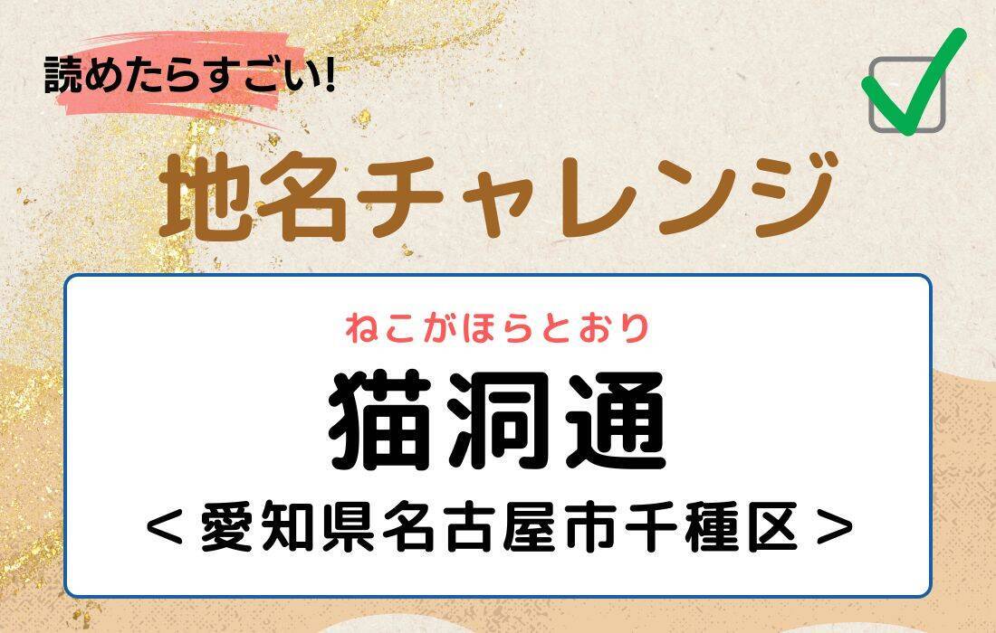 【読めたらすごい！地名チャレンジ Vol.80】「猫洞通」なんと読む？＜愛知県名古屋市千種区＞