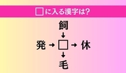 【穴埋め熟語クイズ Vol.5270】□に漢字を入れて4つの熟語を完成させてください