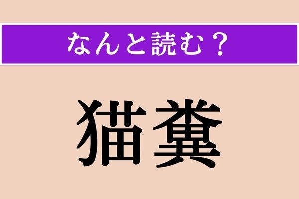 【難読漢字】「猫糞」正しい読み方は？ 猫のアレ!?