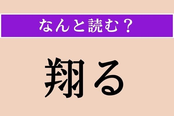 【難読漢字】「翔る」正しい読み方は？ サービス問題!?