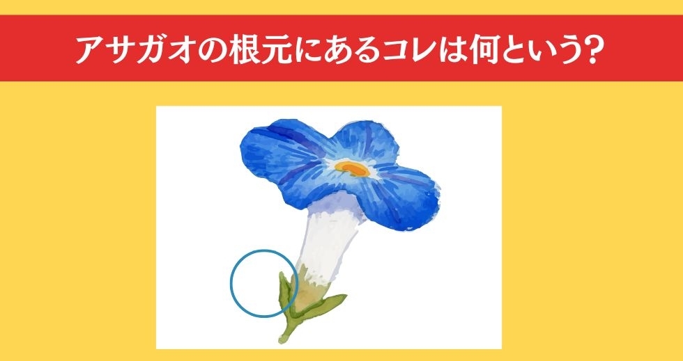 大人ならわかる？ 小学校の「理科」問題＜Vol.17＞