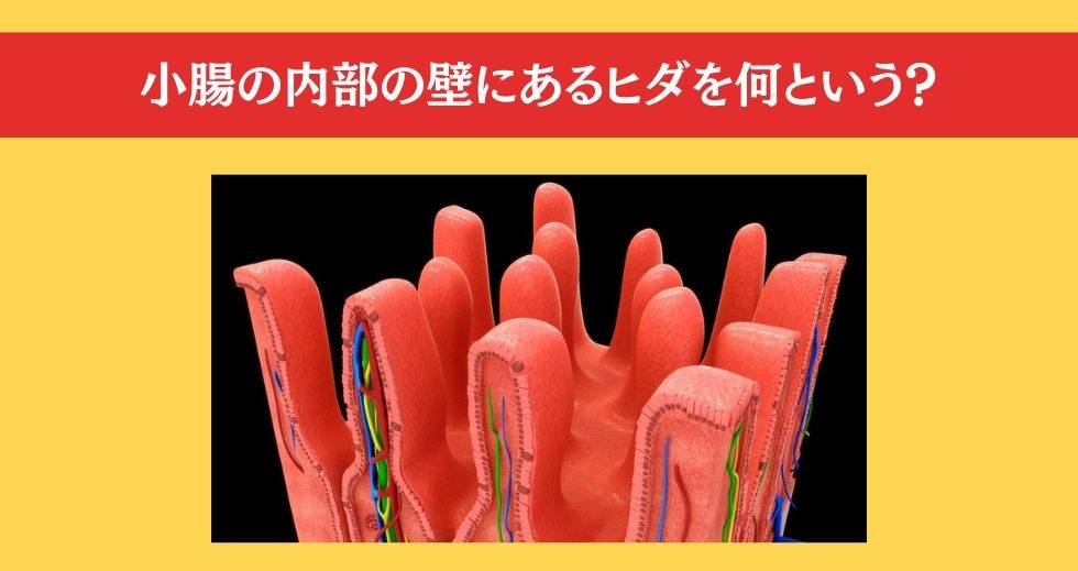 大人ならわかる？ 小学校の「理科」問題＜Vol.68＞