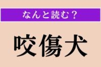 【難読漢字】「咬傷犬」正しい読み方は？「坂上どうぶつ王国」で特集していました！