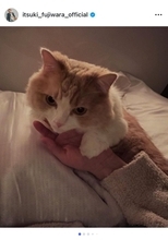 THE RAMPAGE 藤原樹、愛猫マースとの別れを告白「こんなにも辛いことがあると知りました」