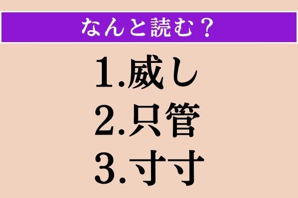 【難読漢字】「威し」「只管」「寸寸」読める？