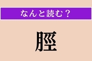 【難読漢字】「脛」正しい読み方は？「すね」以外の読み方わかりますか？