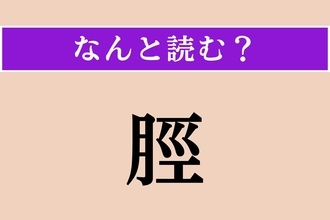 【難読漢字】「脛」正しい読み方は？「すね」以外の読み方わかりますか？