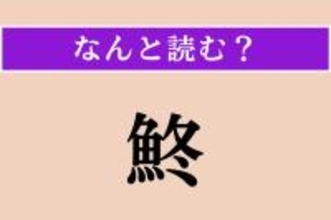 【難読漢字】「鮗」正しい読み方は？ どの魚だろう…