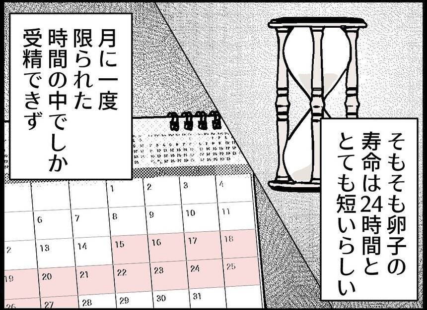 【漫画】まずは自然妊娠にトライ！ “頻度”を増やしクタクタに…【僕たちは親になりたい Vol.15】