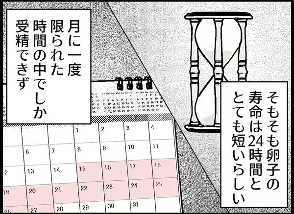 「【漫画】まずは自然妊娠にトライ！ “頻度”を増やしクタクタに…【僕たちは親になりたい Vol.15】」の画像